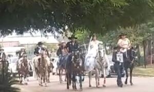 Entre aplausos y música: novios llegan a caballo y sorprenden en Loreto - Concepción al Día