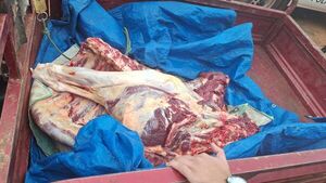 Incautan carne vacuna de dudosa procedencia y un motocarro en Belén - Concepción al Día