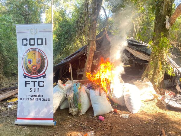Operación Eco II: destruyen 110.000 kg de marihuana en Caazapá - ADN Digital