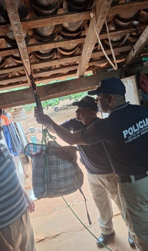 Allanamientos por abigeato en Belén dejan evidencias incautadas en varias viviendas - Concepción al Día