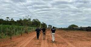 La Nación / San Pedro: grupo armado atacó estancia y robó 40 cabezas de ganado