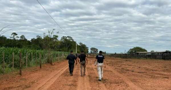 La Nación / San Pedro: grupo armado atacó estancia y robó 40 cabezas de ganado
