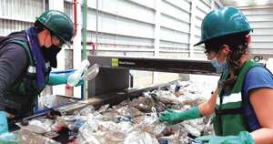 La Nación / Industria sustentable moviliza más de USD 170 millones en el país