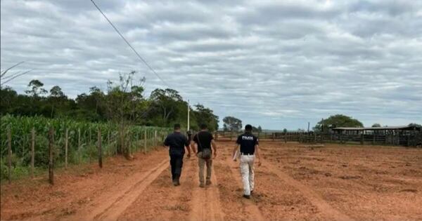 La Nación / Grupo armado atacó estancia y robó 40 cabezas de ganado