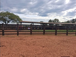 Asaltaron estancia en Tacuatí y tomaron de rehenes a empleados