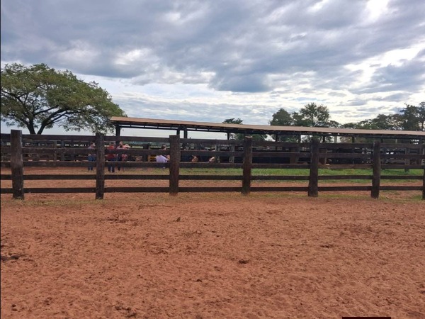 Asaltaron estancia en Tacuatí y tomaron de rehenes a empleados