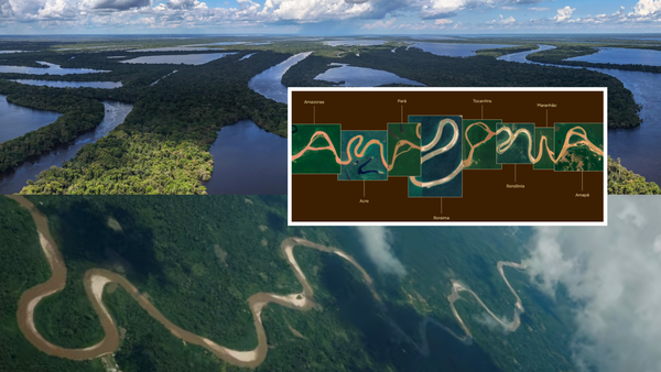 Video: Las cuencas del Amazonas inspiraron una tipografía que une nueve estados de Brasil