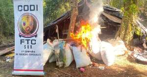 Diario HOY | Destruyen 110.000 kg de marihuana en Caazapá