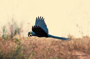 “Bienvenidos”: iniciativa que busca visibilizar el valor de las Áreas Silvestres Protegidas del Paraguay | Unicanal