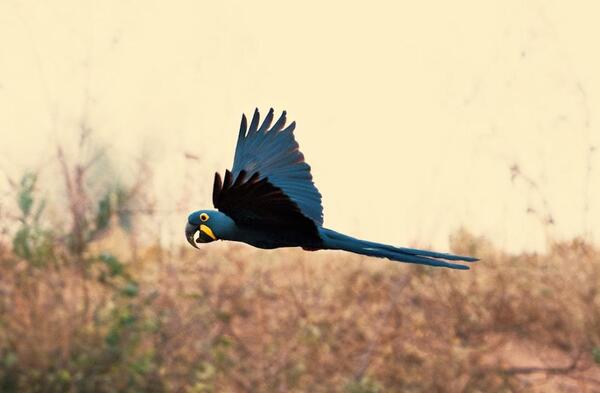 “Bienvenidos”: iniciativa que busca visibilizar el valor de las Áreas Silvestres Protegidas del Paraguay | Unicanal