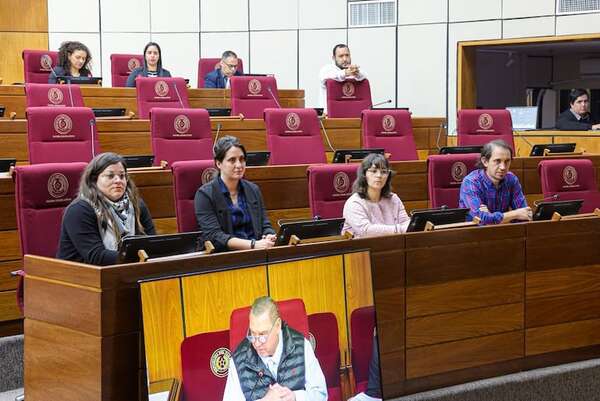 Senado analizará versión cartista de la ley de protección a periodistas - Política - ABC Color