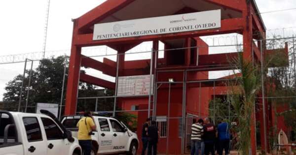 La Nación / Ministerio de Justicia investiga denuncia por supuesta faena de gato en penal de Oviedo