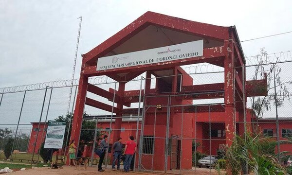 Ministerio de Justicia niega faenamiento de gato en cárcel de Coronel Oviedo - OviedoPress