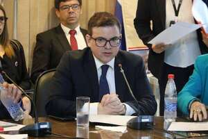 AUDIO: Presidente de Aneaes afirma que no hubo “pronunciamientos oficiales” sobre críticas de embajador brasileño a carreras paraguayas de Medicina  - La Primera Mañana - ABC Color