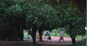 Un hombre de 80 años fue asesinado a tiros durante un robo en su casa