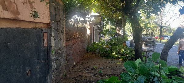 Encarnación activa plan de poda y retiro de ramas en temporada de mantenimiento urbano