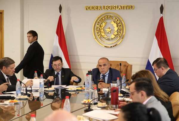 Senado tratará jubilación VIP y licencia por cumpleaños el miércoles  - Política - ABC Color