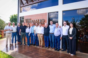 Paraguay apuesta a la yerba mate como nuevo energizante global: el mercado estadounidense en la mira