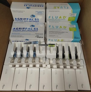 Alto Paraná se suma al arranque nacional de la campaña contra la influenza 2026 - ADN Digital