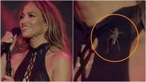 Popular / (VIDEO) ¡Jennifer Lopez fue apurada por un grillo en pleno concierto!