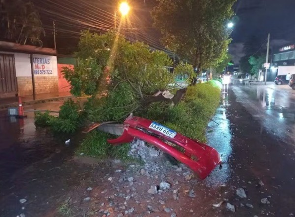 Adolescente al volante pierde el control y choca contra columna y árbol
