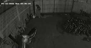 Diario HOY | Cayó “Arroz´i