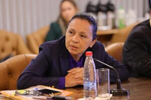 HC apuró elección de Alliana ante fuerte presión dentro del movimiento, dice senadora