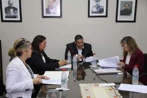 Vallejo renuncia a “bastardeada” comisión de Asuntos Constitucionales, tras 8 años  - Política - ABC Color