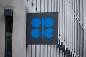 OPEC: Ciega, Sordomuda? - 5Días