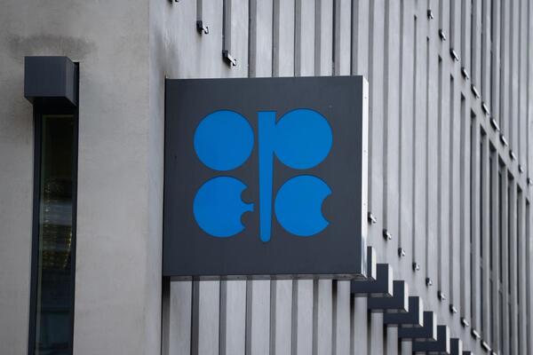 OPEC: Ciega, Sordomuda? - 5Días