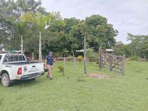 Ancianos de 90 y 82 años fueron víctimas de robo agravado en Guazucuá - Nacionales - ABC Color