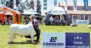 La Nación / Más demanda dinamiza producción cárnica