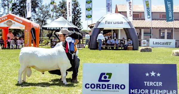 La Nación / Más demanda dinamiza producción cárnica