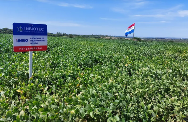 La soja marca récords y consolida su mapa productivo