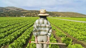 Lanzan ciclo “Voces del Territorio” con foco en mujeres rurales