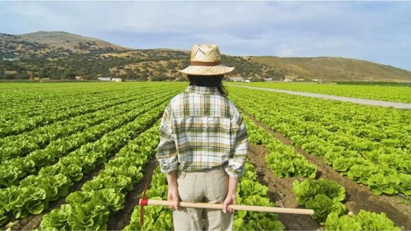 Lanzan ciclo “Voces del Territorio” con foco en mujeres rurales