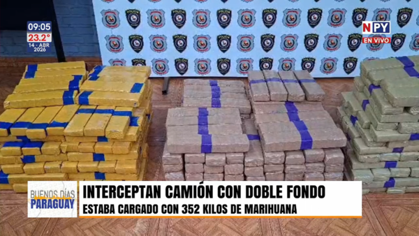 Incautan 352 kilos de marihuana en operativo policial en Ciudad del Este
