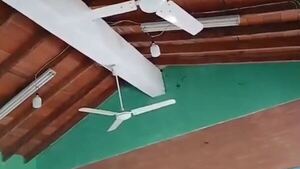 ¡Miedazo! Murciélagos invaden aula en Coronel Bogado