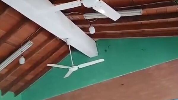 ¡Miedazo! Murciélagos invaden aula en Coronel Bogado