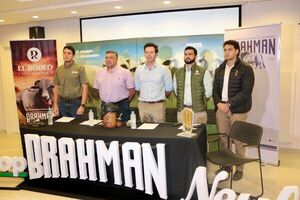 Expo Nacional Brahman en Neuland: más de 300 animales y foco en el potencial genético