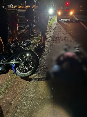 Motociclista resulta herido tras chocar contra un perro en Belén - Concepción al Día
