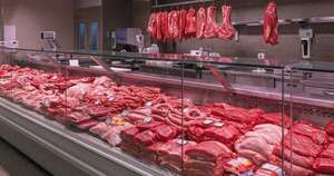 La Nación / Ven difícil desarrollo de mercado de carne de burro en el país pese a iniciativa en Argentina