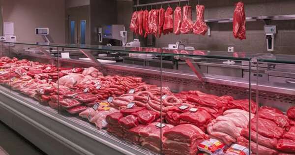 La Nación / Ven difícil desarrollo de mercado de carne de burro en el país pese a iniciativa en Argentina
