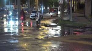 Avenida Artigas, castigada por baches y lejos del “corredor verde” prometido por el MOPC - Nacionales - ABC Color