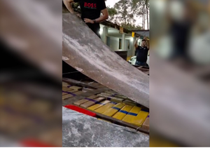 Incautan en CDE más de 300 kilos de marihuana ocultos en el doble fondo de un camión