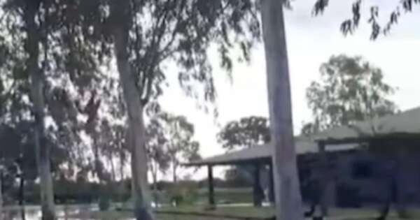 La Nación / Lluvias intensas e inundaciones dejan aisladas a varias familias en Alto Paraguay