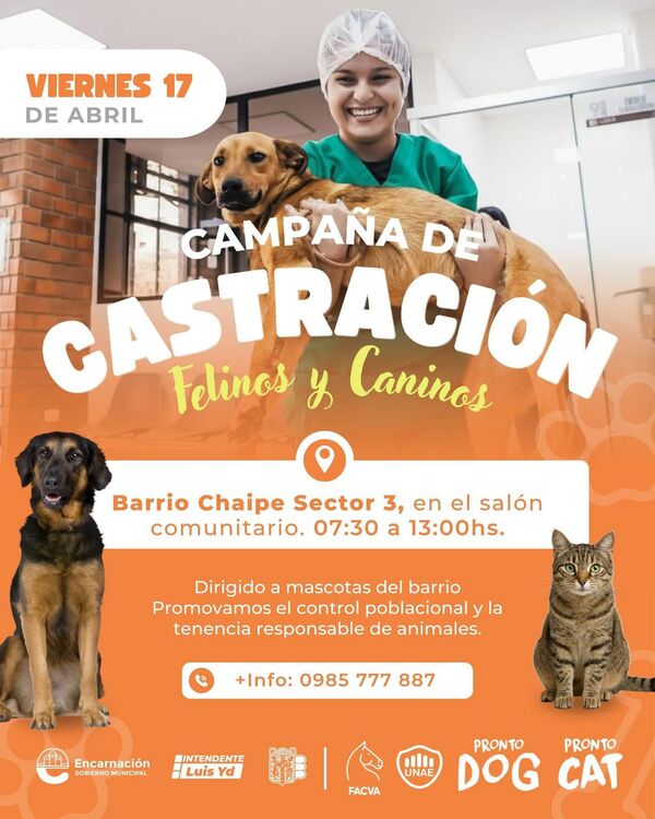 Realizarán jornada gratuita de castración de mascotas en el barrio Chaipé