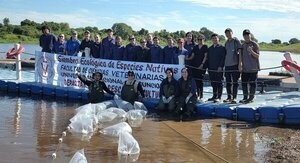 Estudiantes de veterinaria de la UNA sembraron 46.000 alevines nativos en el Río Paraguay