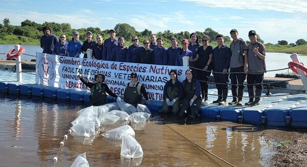 Estudiantes de veterinaria de la UNA sembraron 46.000 alevines nativos en el Río Paraguay