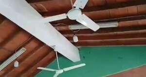 La Nación / Piden ayuda para controlar invasión de murciélagos en escuela de Itapúa